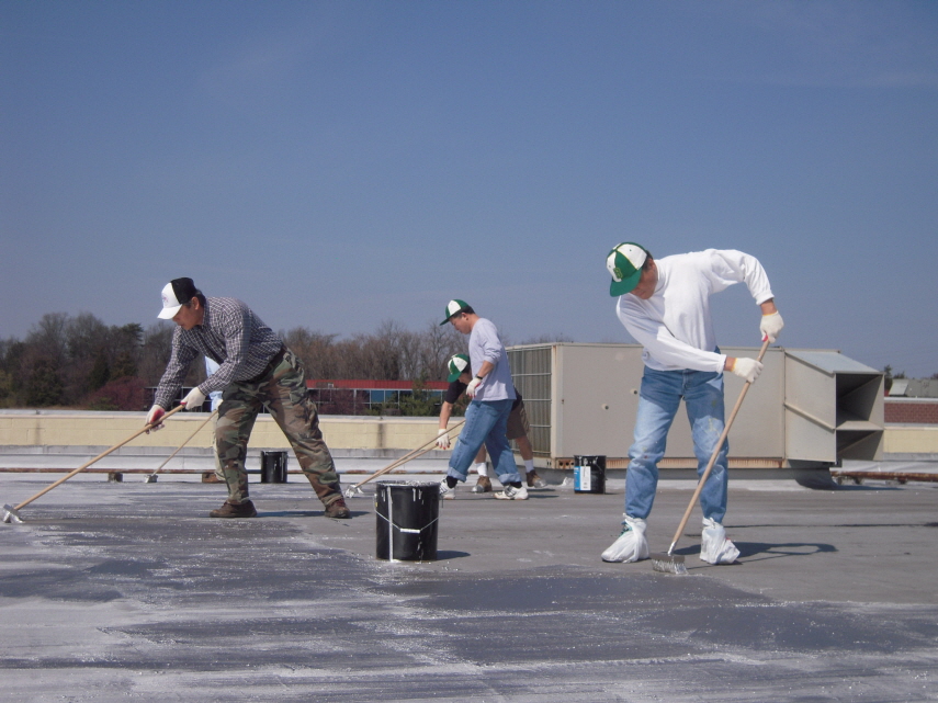 Resized_va roof 019.jpg